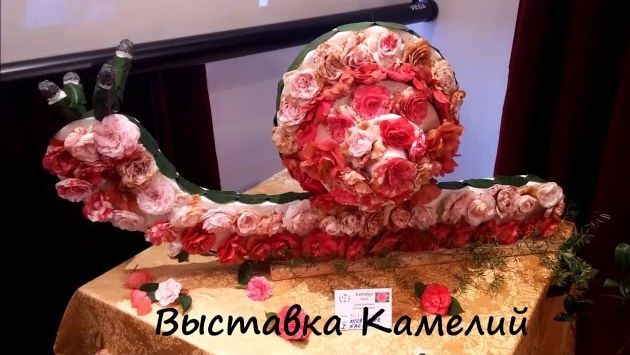 Черногория, Март: Фестиваль камелий. Жизнь в Черногории