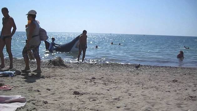 Сентябрь в Туапсе: Кукуруза кто желаааааеееет, кукураза горячаааяяя