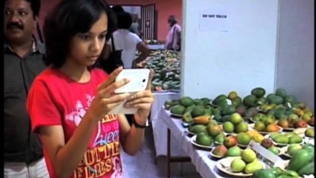 Гоа: Luscious Varieties Of 'King Of Fruits' Lure Crowds To Mango Festival At India's Beach City Of Goa