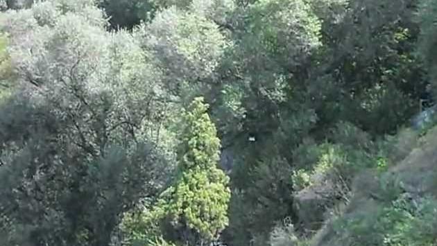 Май, Лазурный берег: Nice, France  Promenade May 2012