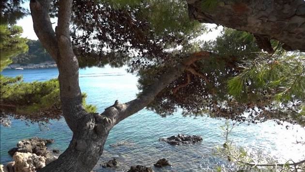 Хорватия в июле: Mlini, Croatia, July 2012