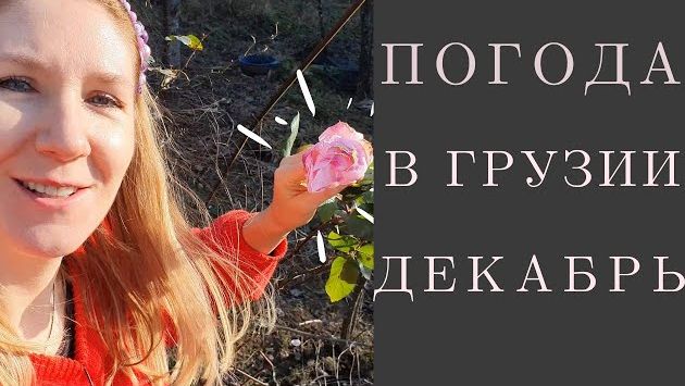 Какая погода в Грузии в декабре