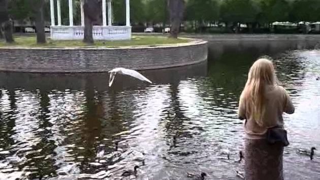 Таллин. Эстония. Июнь 2011. Парк Екатерины.