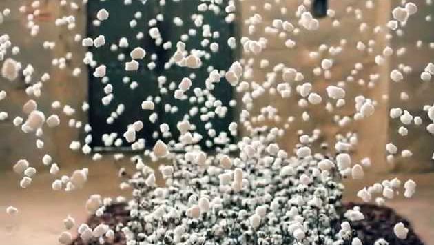 Май: Temps de Flors 2013 - Flowers Festival 2013