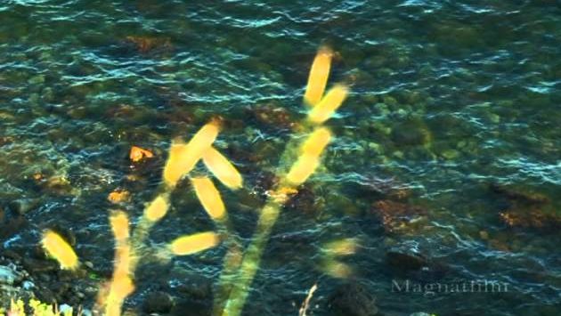 Прогулка по Феодосии  Май 2012 г