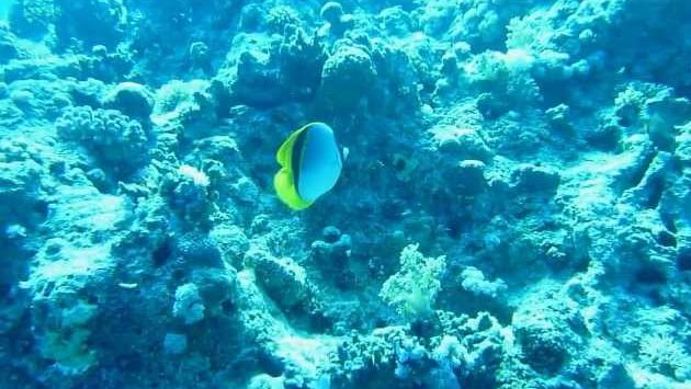 Май в Хургаде: #5 Umm Gamar - Hurghada