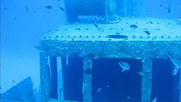 Июнь: A dive on the tugboat Rozi, Cirkewwa, Malta. June 2010.wmv