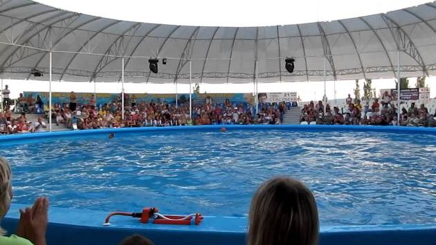 Июль в Феодосии: Дельфинарий НЕМО в Феодосии (Приморский).