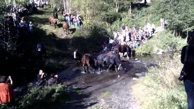 Октябрь, Коста Брава: TRIA DE MULATS A ESPINAVELL 2011