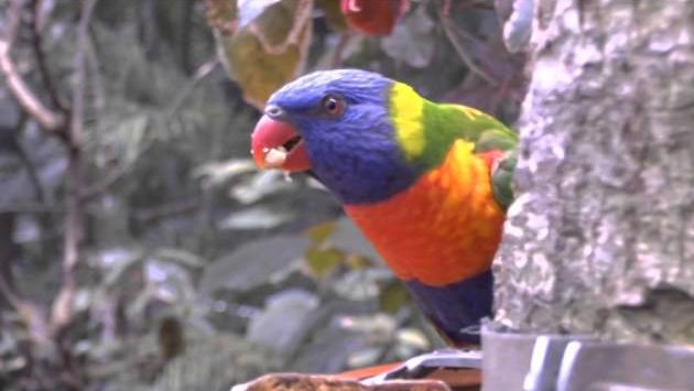 Апрель: Our Tenerife - Official Trailer Full HD