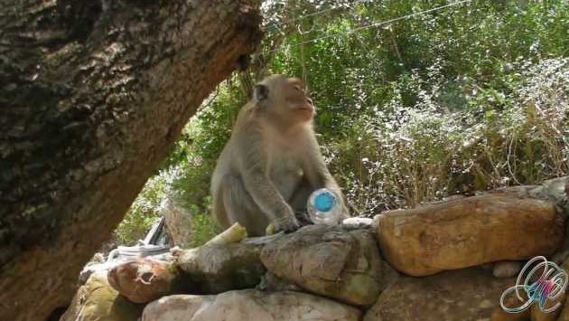 Тайланд 2013. Паттайя. апрель. Часть II