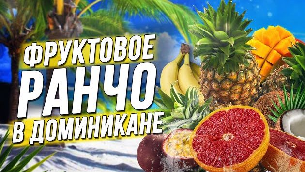 Обзор фруктов Доминиканы! Какие фрукты стоит покупать?