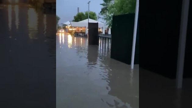 яровое 24.06.24