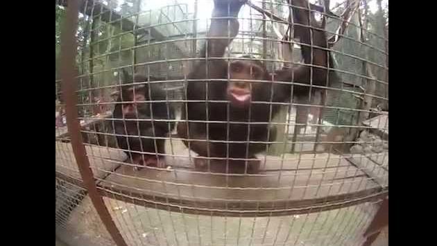 Июнь: my summer 2013