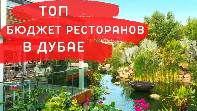 ДУБАЙ | Где вкусно и красиво поесть не за все деньги мира! ТОП Лучших Бюджетных Ресторанов в ДУБАЕ!