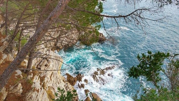 ???? ЧЕРНОГОРИЯ В ЯНВАРЕ ????