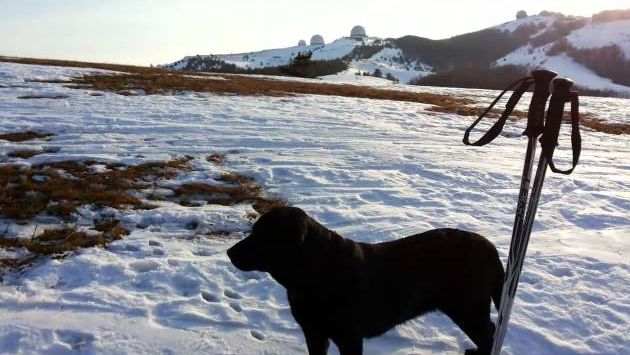 Ай Петри январь 2015