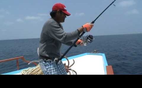 Март: 1 jig 2 fishes - Maldives - March 2009