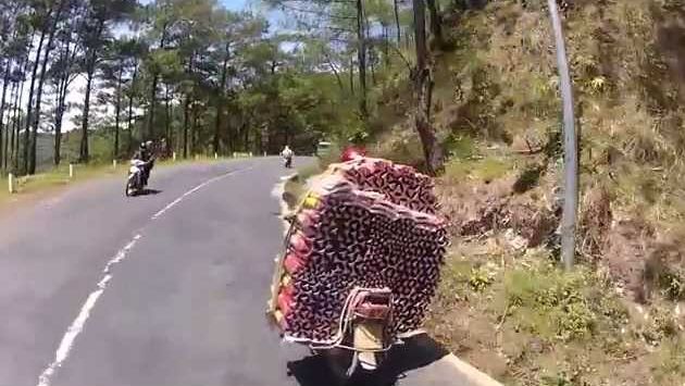 Январь, Вьетнам: Потрясающий Вьетнам