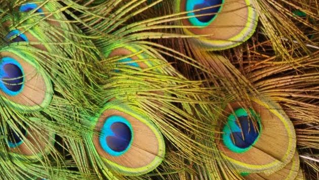 Марокко, Май: Morocco, Agadir (may 2017)