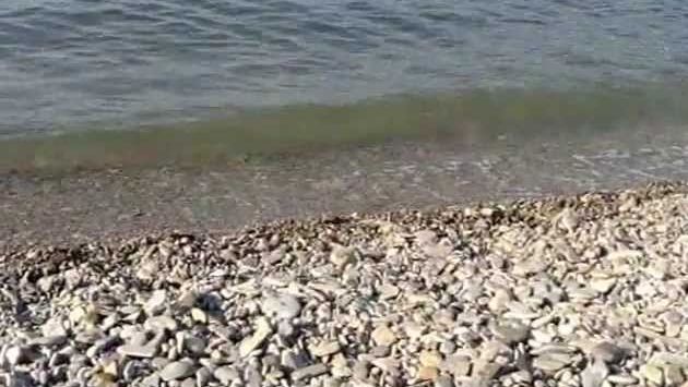 Октябрь, Геленджик: Прогулка по берегу Чёрного моря в Геленджике. Пляжи, набережная, бухта.