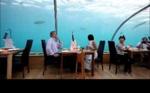 Март на Мальдивах: underwater romantic dinner.wmv