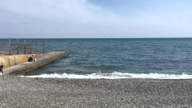 Алушта, 12 апреля 2016 г. +20