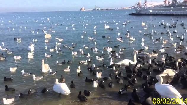 Крым, Февраль: Накануне весны