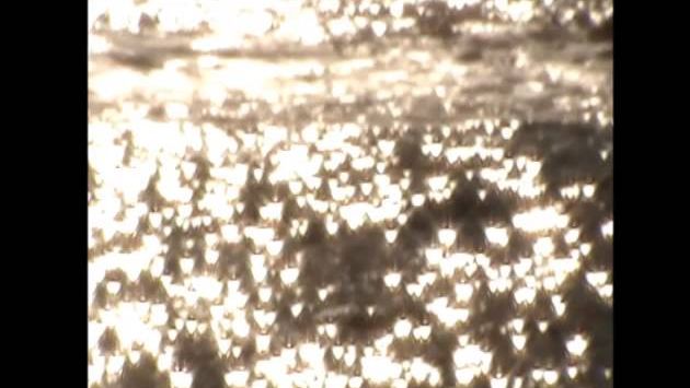 Кипр, Январь: Cyprus 2012 Happy New Year