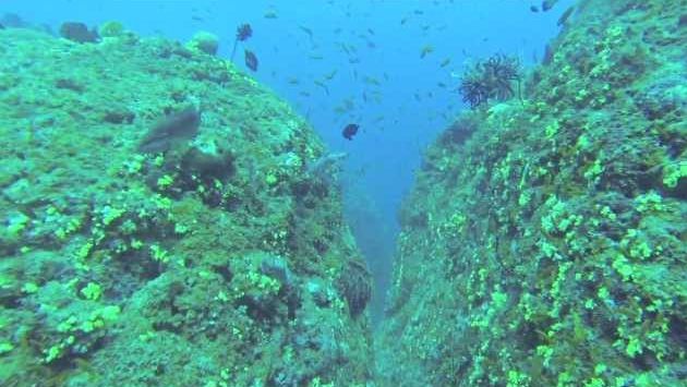 Индия в марте: Andamans (India) Scuba Diving Trip 2014