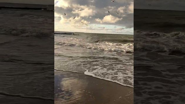 Kaliningrad in November, Zelenogradsk, Baltic Sea, autumn/Калининград осенью, Зеленоградск в ноябре