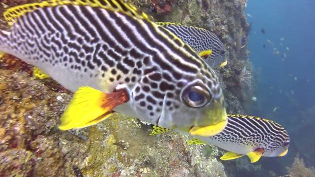 Апрель на Бали: Bali holidays 2014