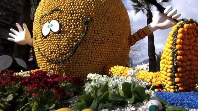 Февраль во Франции: Color of lemon