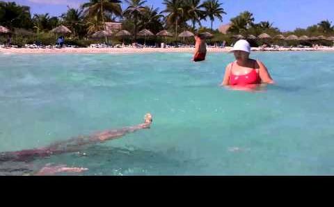 Куба, Ноябрь: Melia Cayo Guillermo beach November 2010