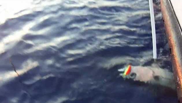 Кипр в октябре: Рыбалка на  Кипре DraGus &amp; Славка (Биг-мен).MP4