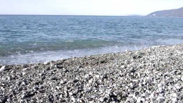 Январь, Абхазия: Абхазия, Гагра. Пляж.