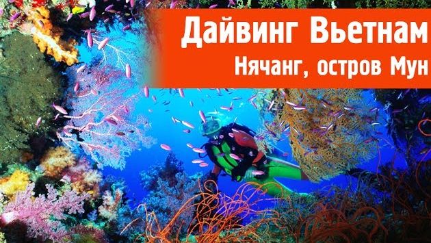 Май, Вьетнам: Дайвинг во Вьетнаме Нячанг. Остров Мун - Южно-Китайское море  | Diving Vietnam Nha Trang, Hon Mun