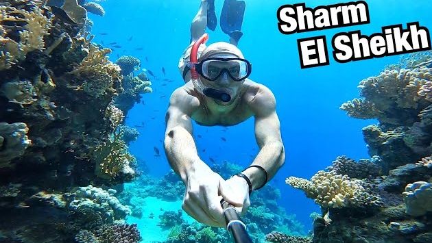 СНОРКЕЛИНГ В ЗИМНЕМ ШАРМ-ЭЛЬ-ШЕЙХЕ! Риф отеля Reef Oasis Blue Bay Resort, Египет.