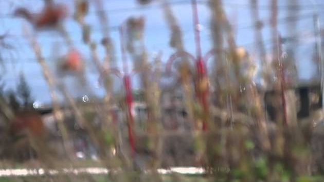 Май, Красноярск: Красноярск весной