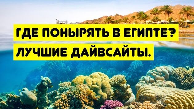 Где понырять в Египте. Лучшие дайвсайты. Сравниваем Хургаду и Шарм Эль Шейх.