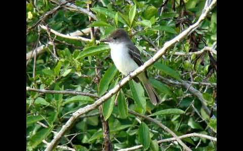 Декабрь на Кубе: Guanahacabibes National Park, Cuba