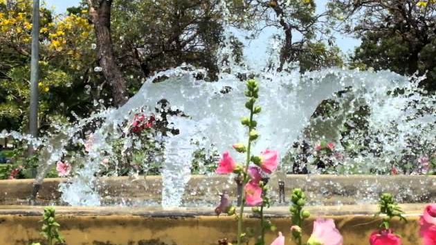 8 марта, 2014, Бангкок, парк Чатучак, Таиланд, Chatuchak Park,Bangkok