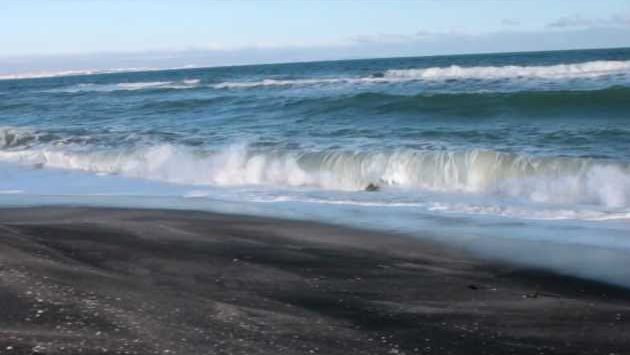Болгария в январе: Winter Sea, Pomorie
