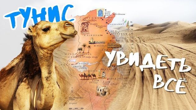 Май, Тунис: Всё, что стоит сделать и посмотреть в Тунисе | Тунис 2019