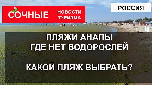 ПЛЯЖИ АНАПЫ | Где нет водорослей? Какой пляж выбрать Джемете, Сукко, Витязево, Выкокий Берег?