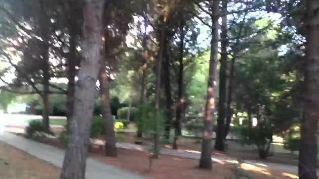 Природа Партенита. Октябрь.