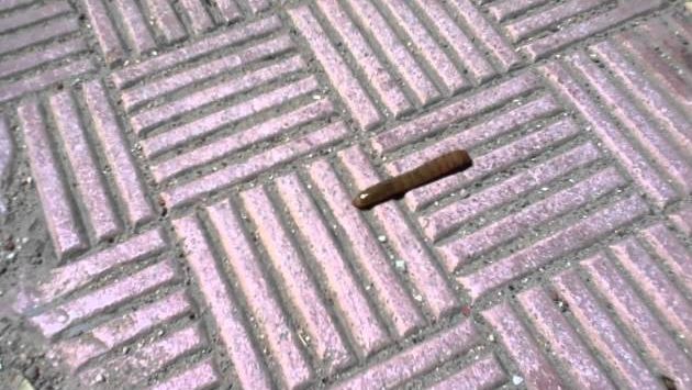 Тунис, Апрель: Dray in Djerba, Tunisia April 2012 Gaastra Team