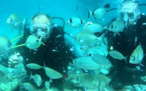 Мармарис: Scuba Diving Marmaris Turkey 2011