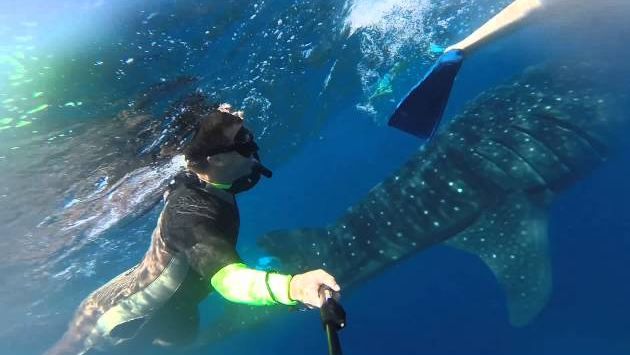 Сентябрь в Мексике: Gopro Hero 3+  Mexico trip September 2014