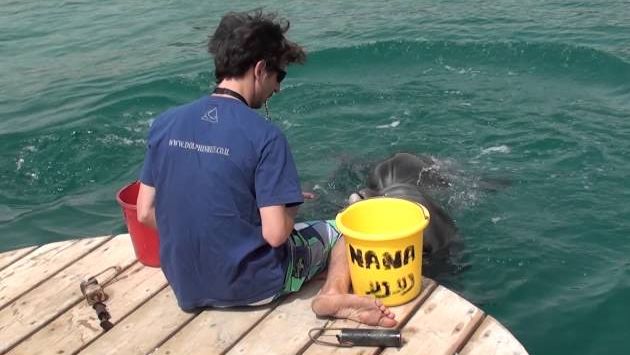 Эйлат: Эйлат.Красное море.Дельфиний пляж